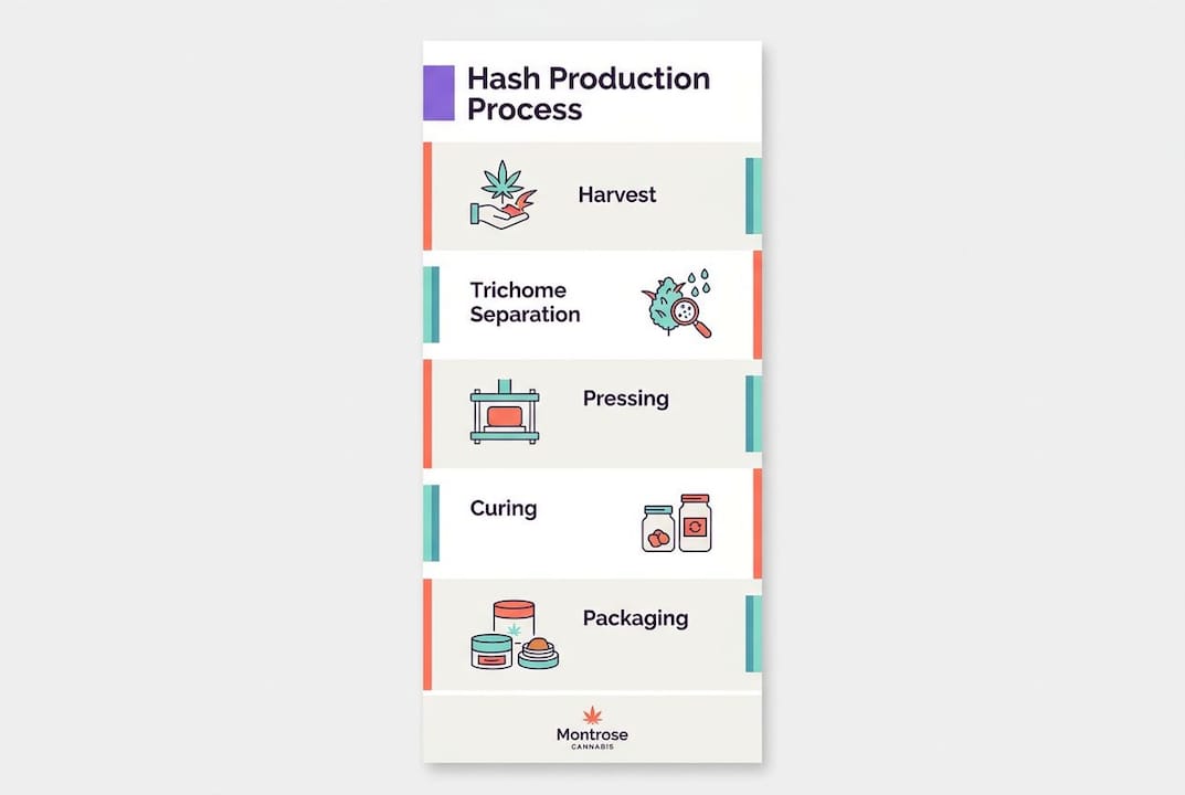 Infographic illustrating hash production steps