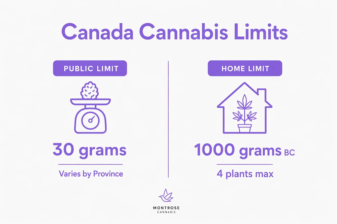 Infographic showing Canadian cannabis possession limits by location