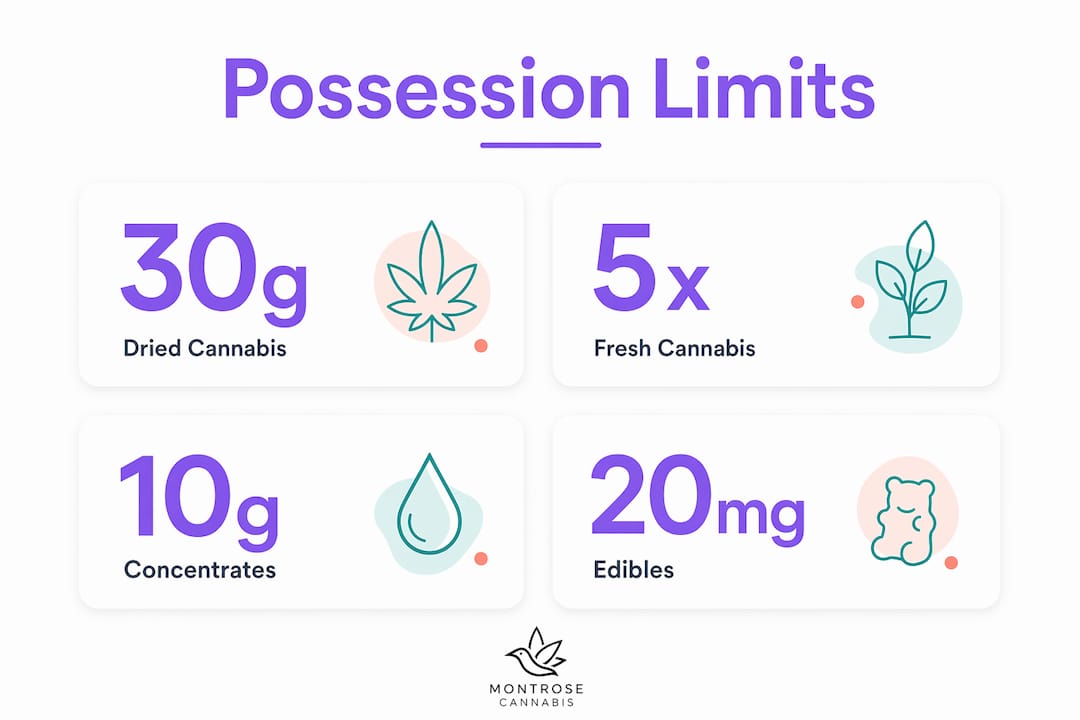 Infographic of cannabis possession limits in Ontario