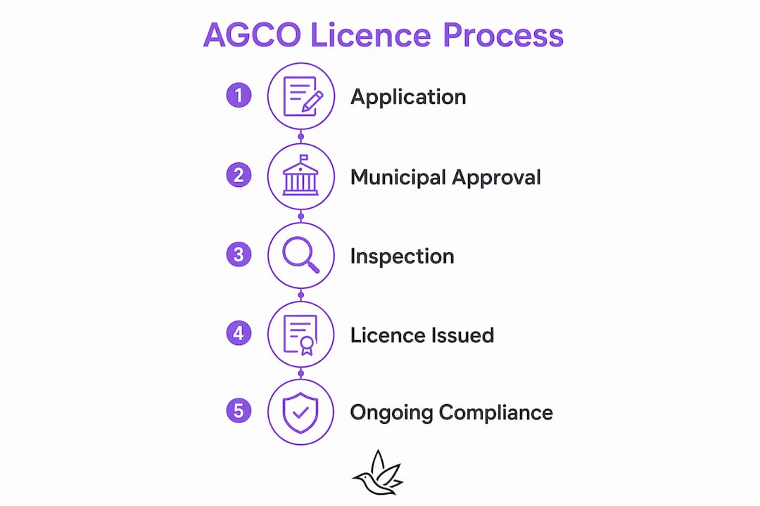 Infographic outlining AGCO licence process steps