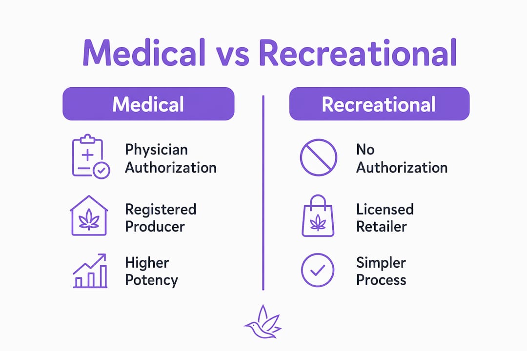 Infographic comparing medical and recreational cannabis delivery