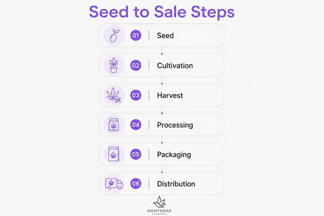 Infographic of cannabis seed to sale compliance steps
