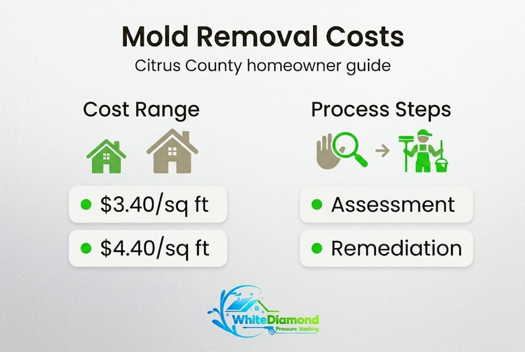Infographic comparing costs and steps for mold removal