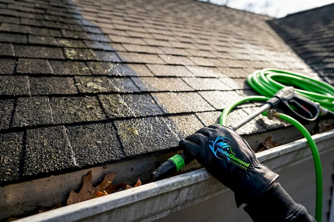 Clean versus dirty roof after soft wash