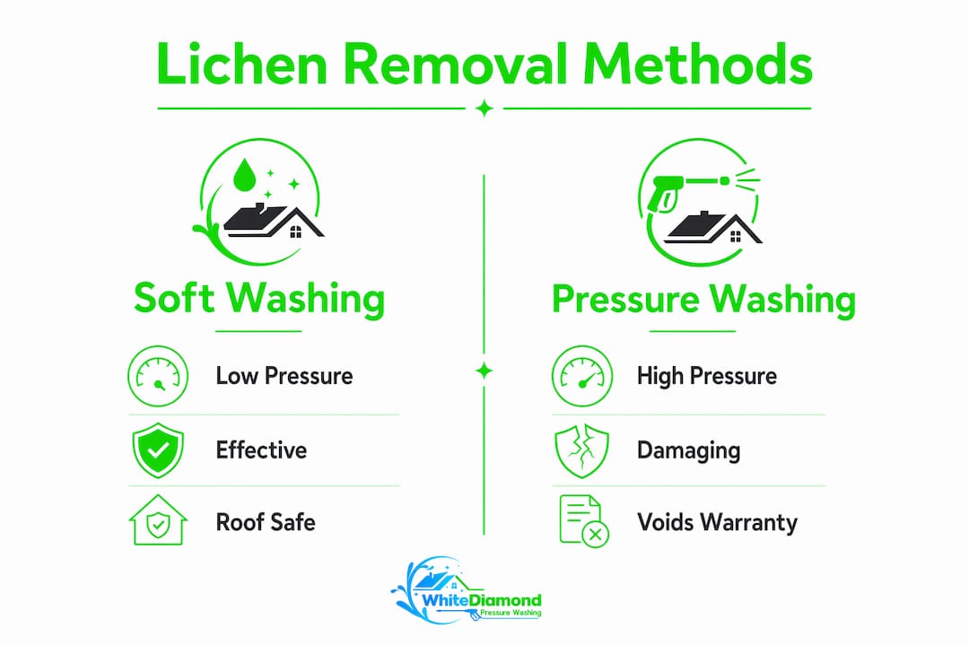 Infographic comparing soft washing and pressure washing for lichen removal