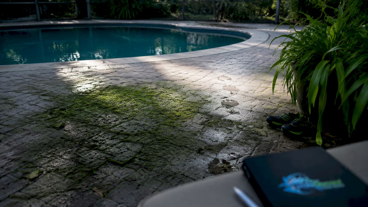 Algae buildup creating slip hazard on pool deck
