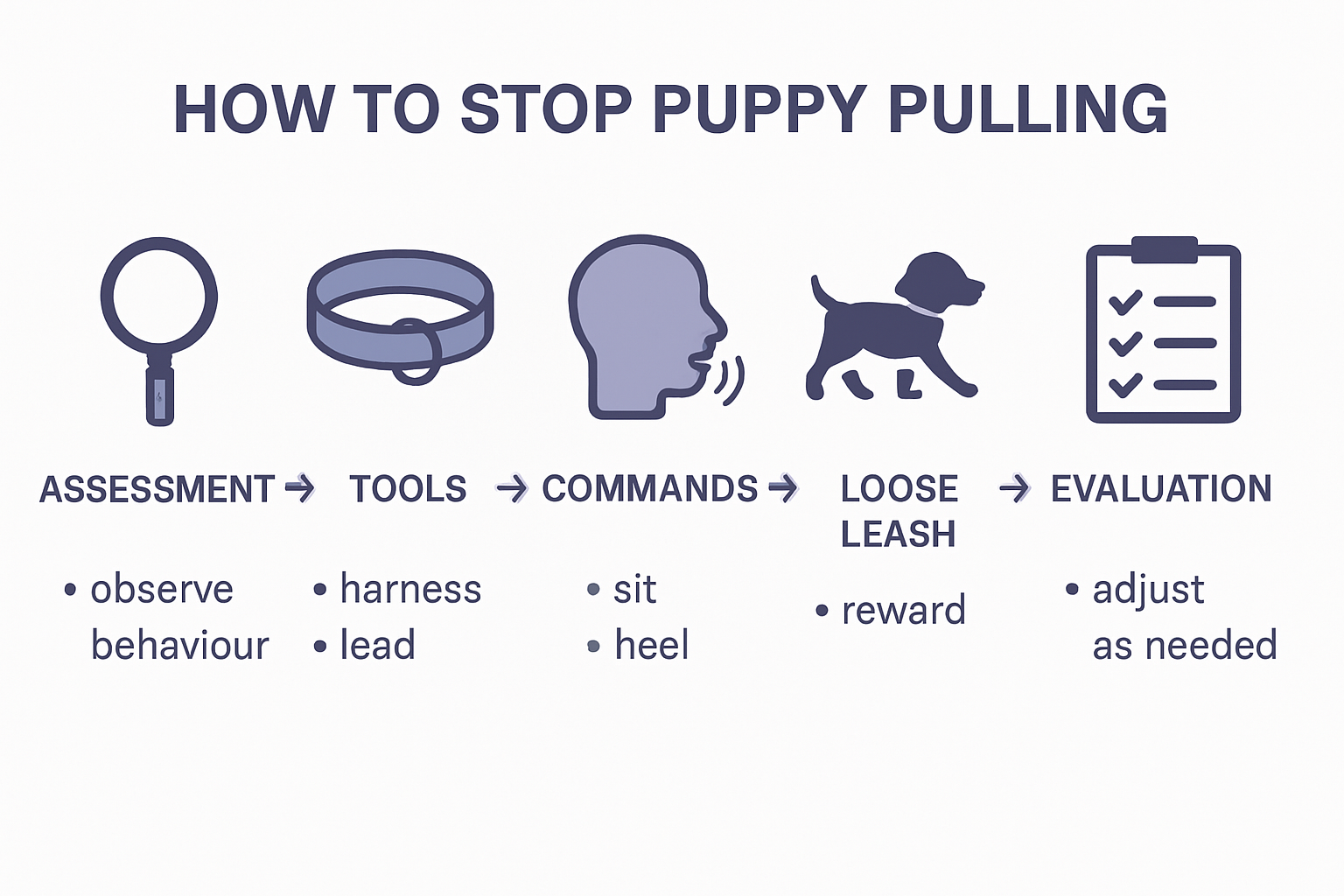 Six-step infographic for training puppies to stop pulling on leash