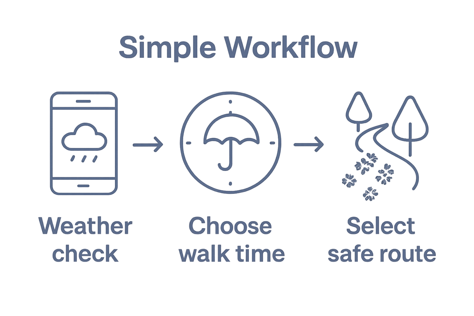 Infographic shows dog walking rain timing and route steps