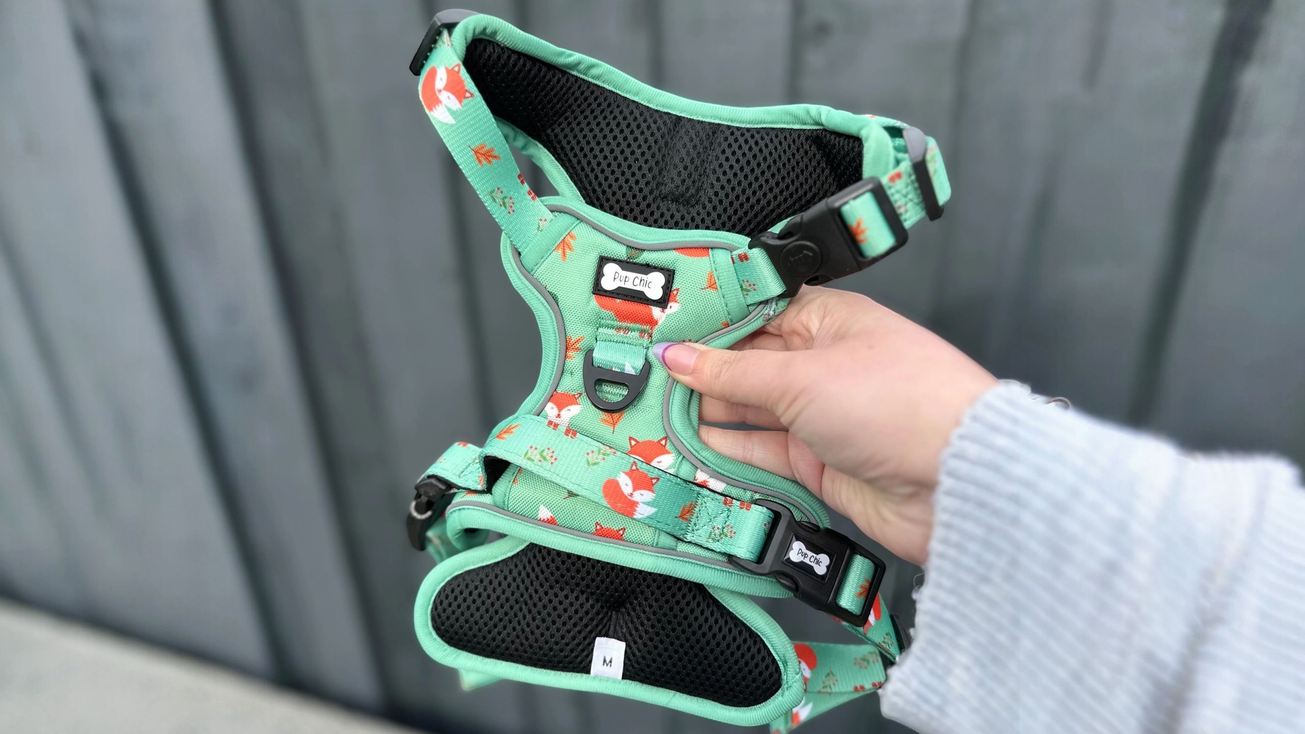 drying clean dog harness