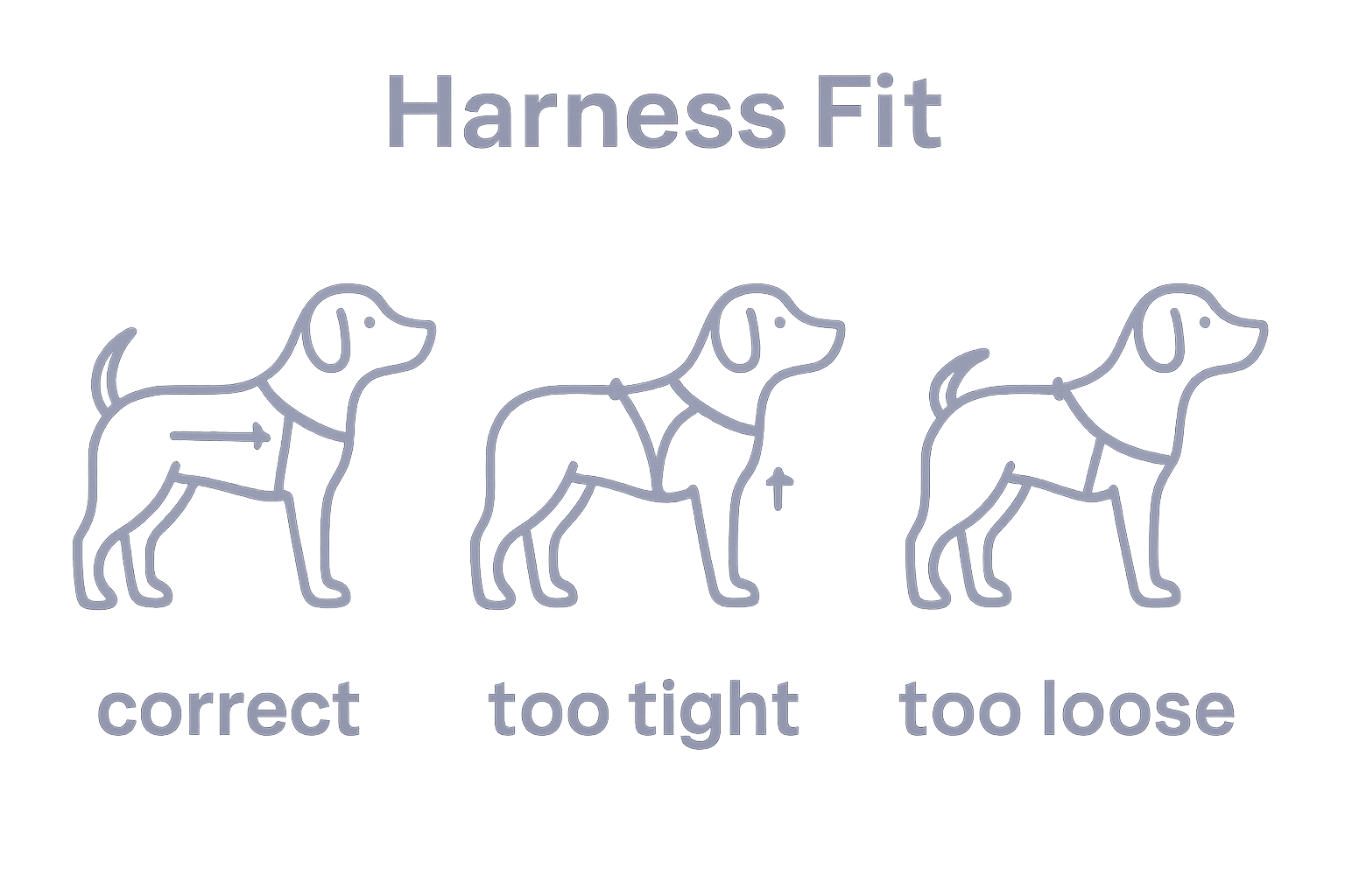 Comparison of correct, tight, and loose harness fits on dogs