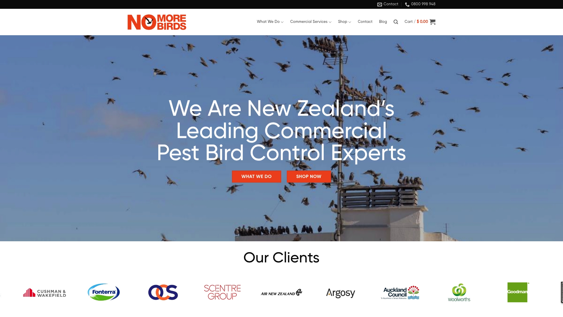 https://nomorebirds.co.nz