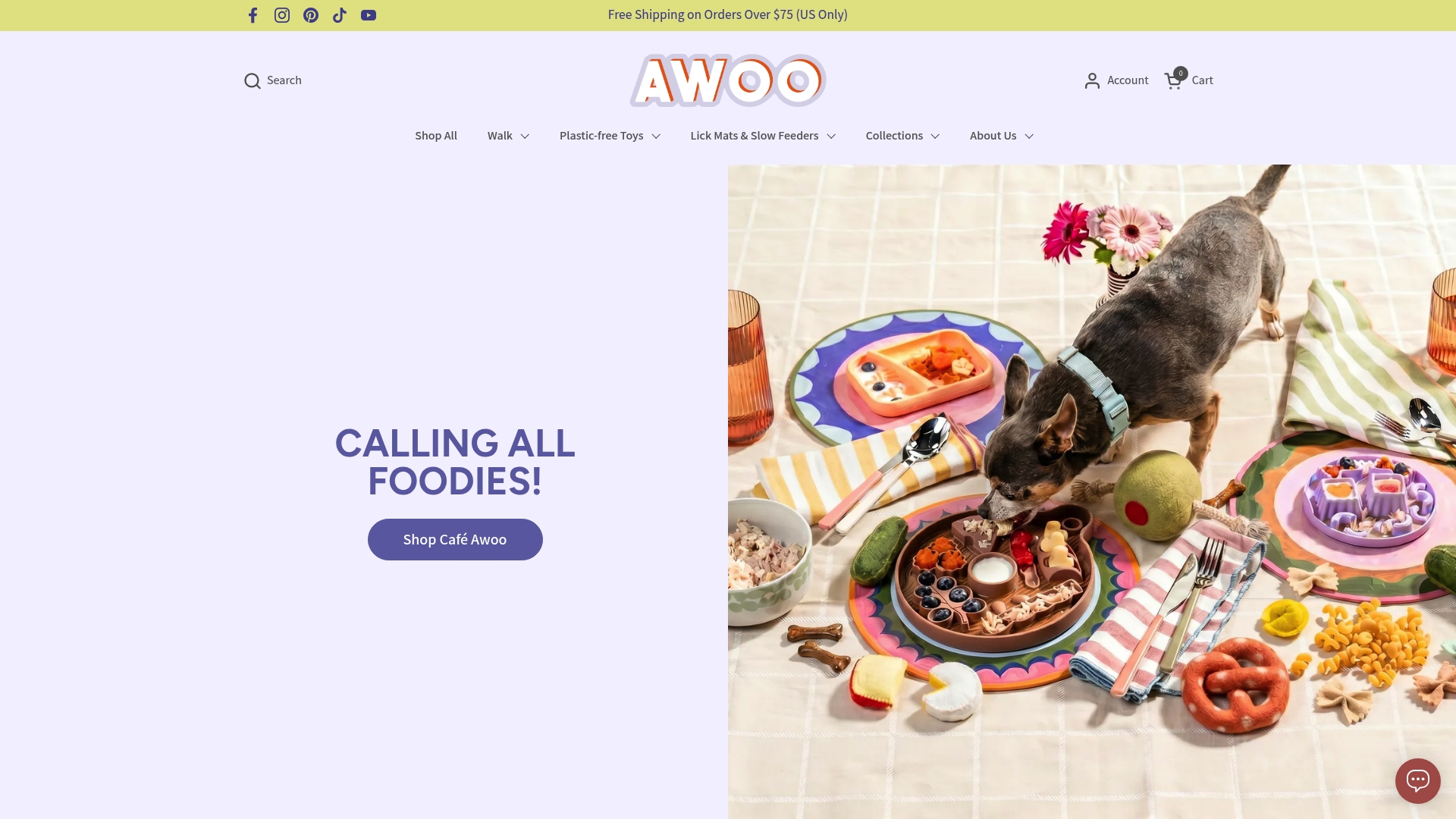 https://awoopets.com