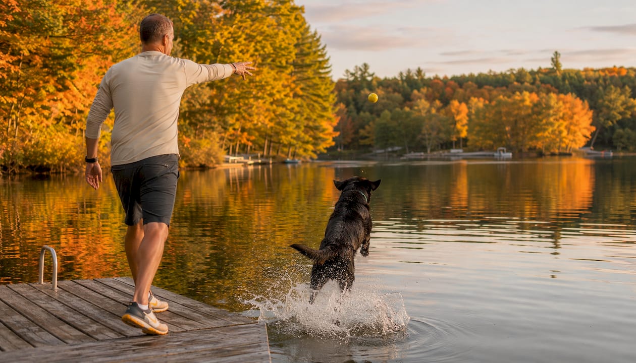 Man playing fetch with labrador in park
