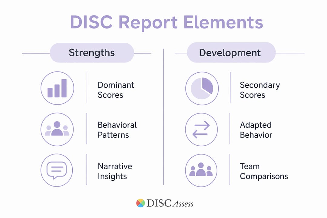 Infographic comparing DISC report strengths and development aspects