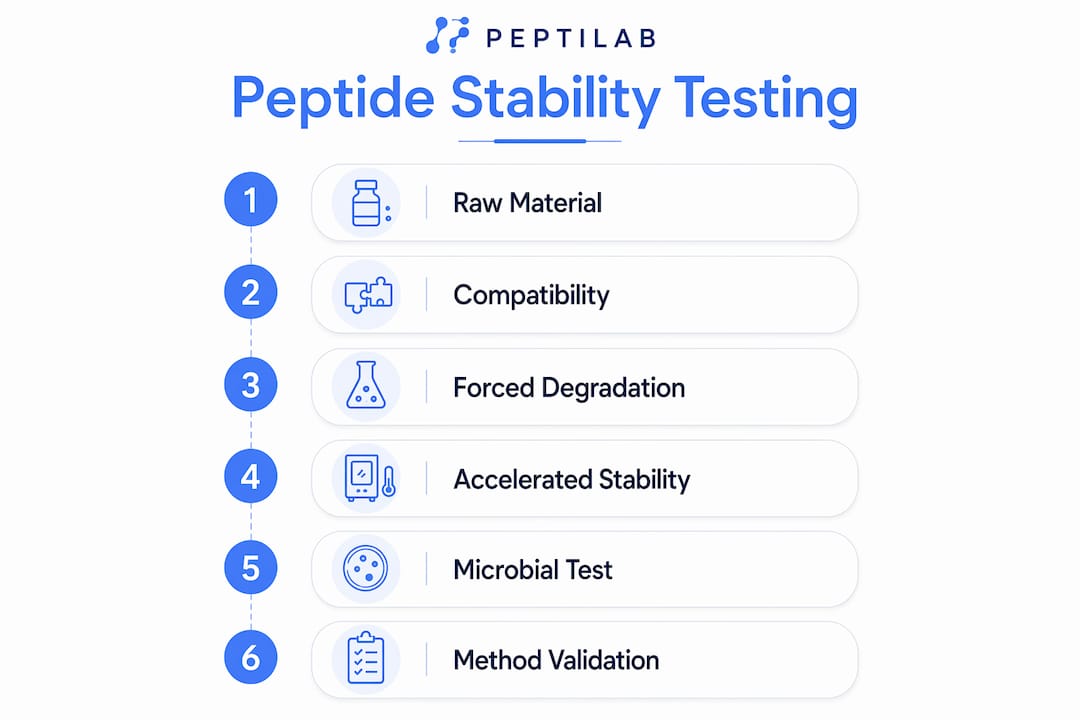 Infographic illustrating peptide stability testing steps