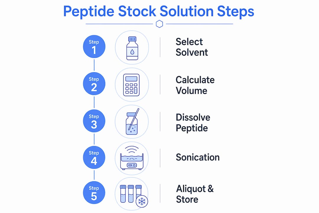 Infographic showing peptide stock solution preparation steps