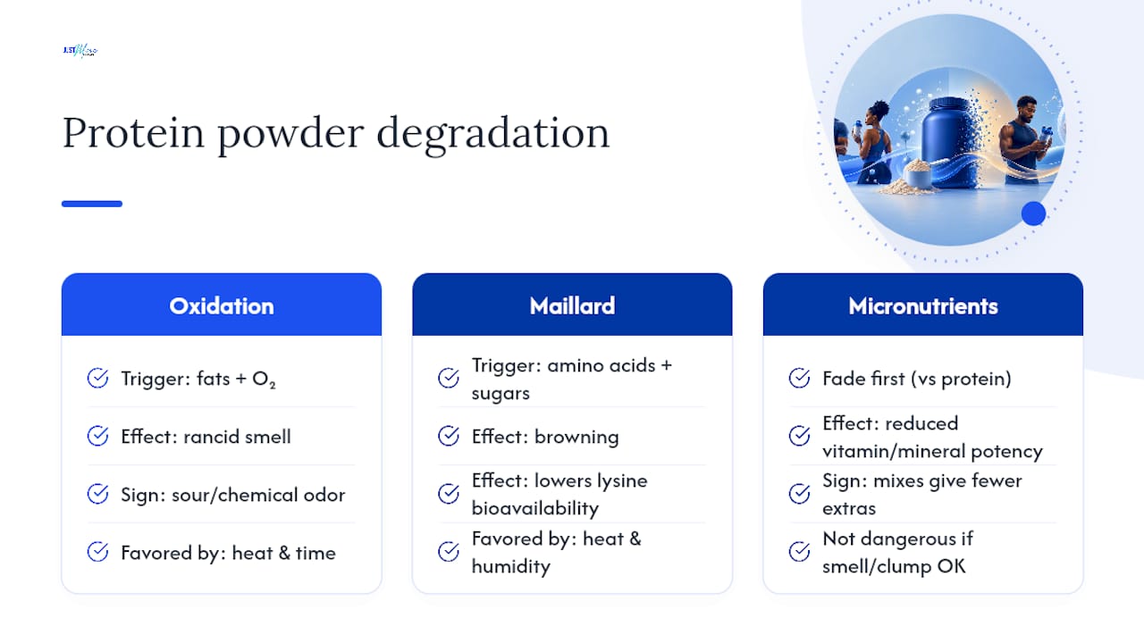 Diagram of protein powder chemical aging processes