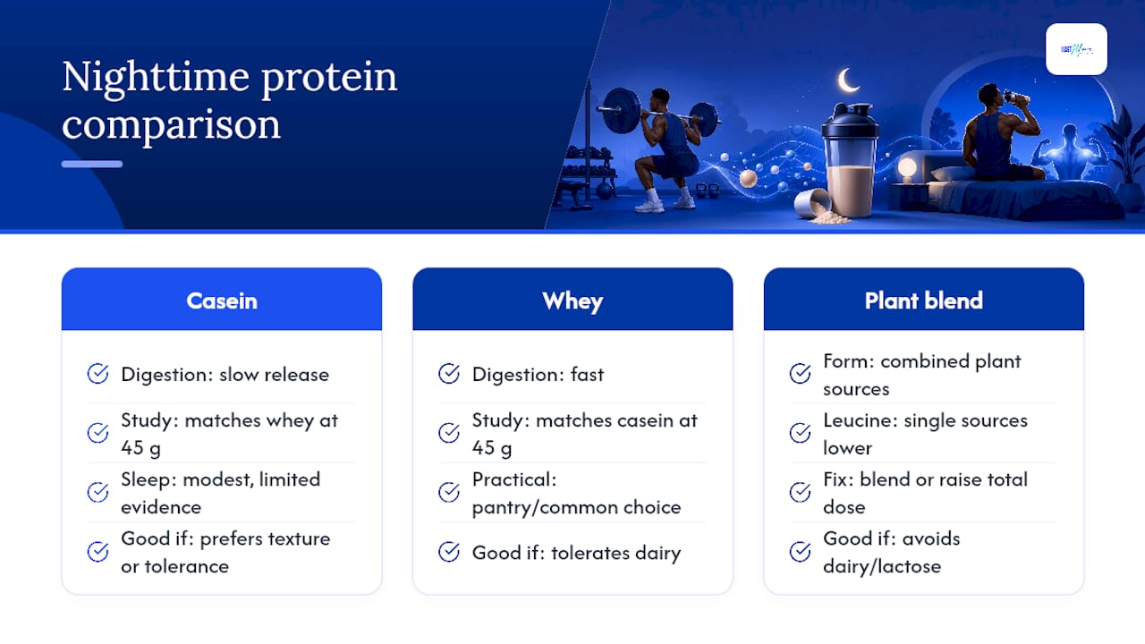 Casein vs. Whey: Which Protein Works Best at Night — overview diagram