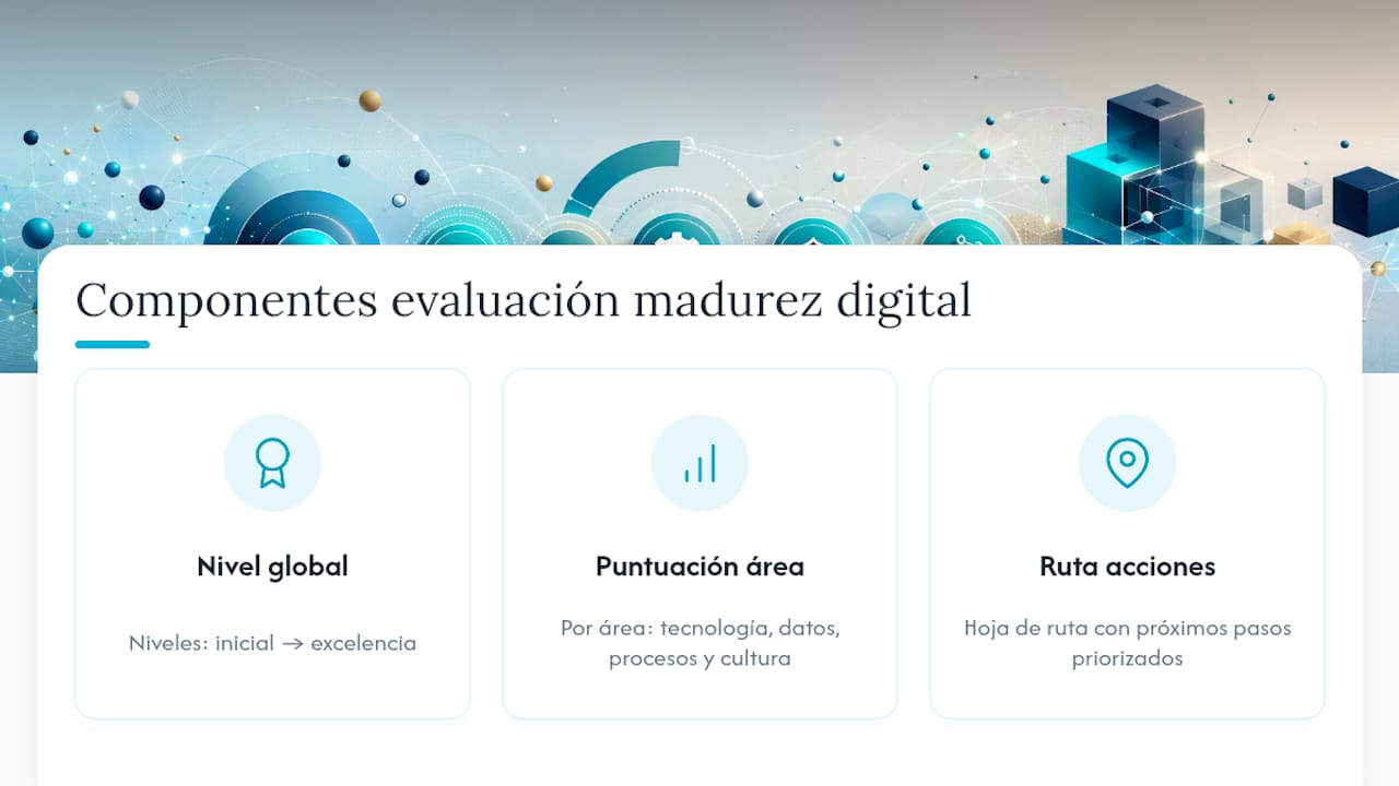 Esquema de los niveles de madurez digital y hoja de ruta para su implementación