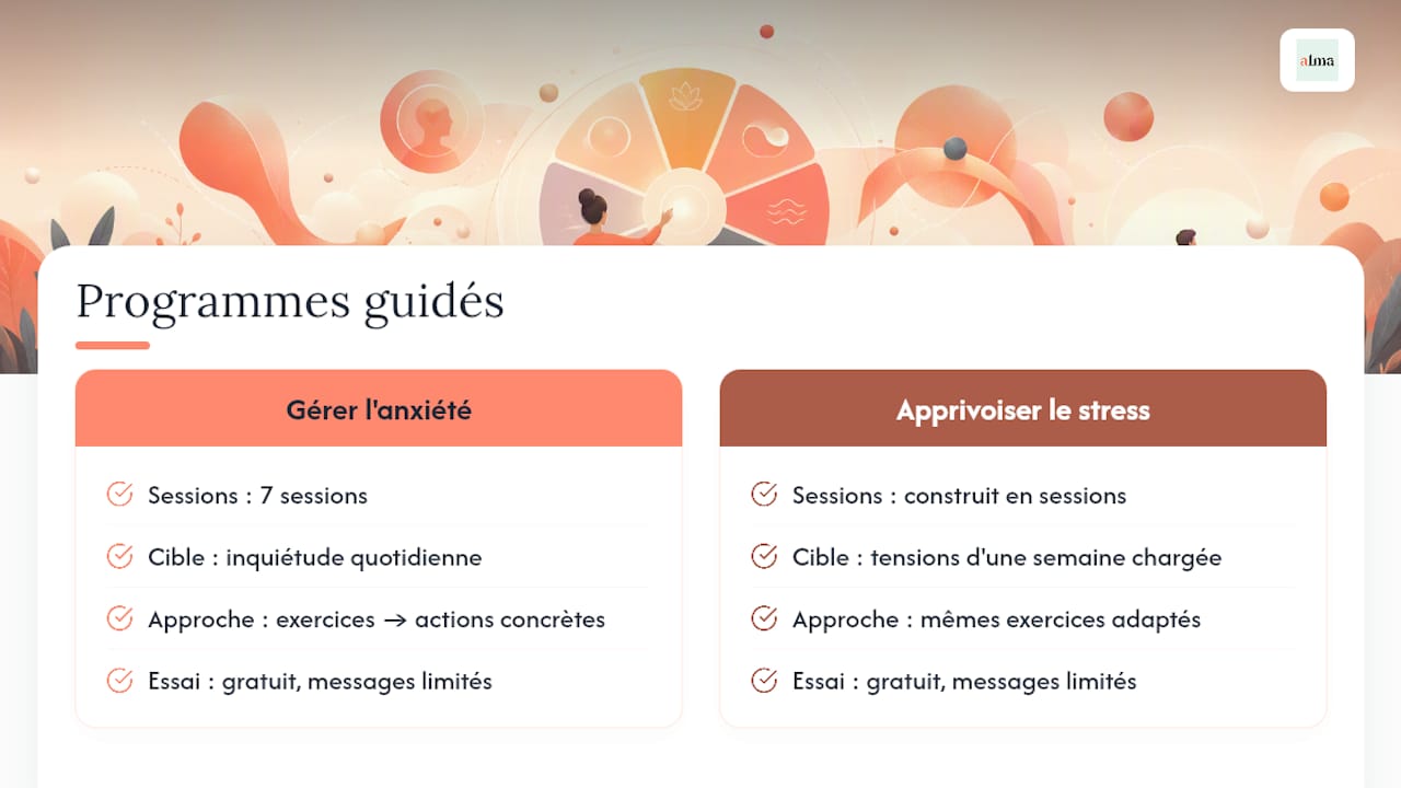 Des programmes guidés pour prolonger l'entraînement à la roue des émotions - overview diagram