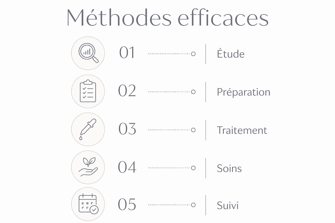 Infographie : les étapes clés pour lutter contre le relâchement des joues