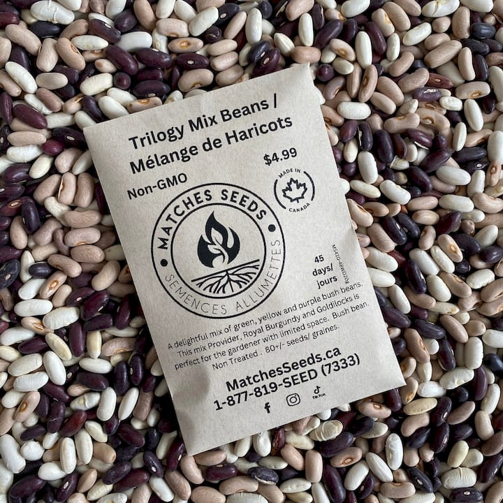 Matches Seeds