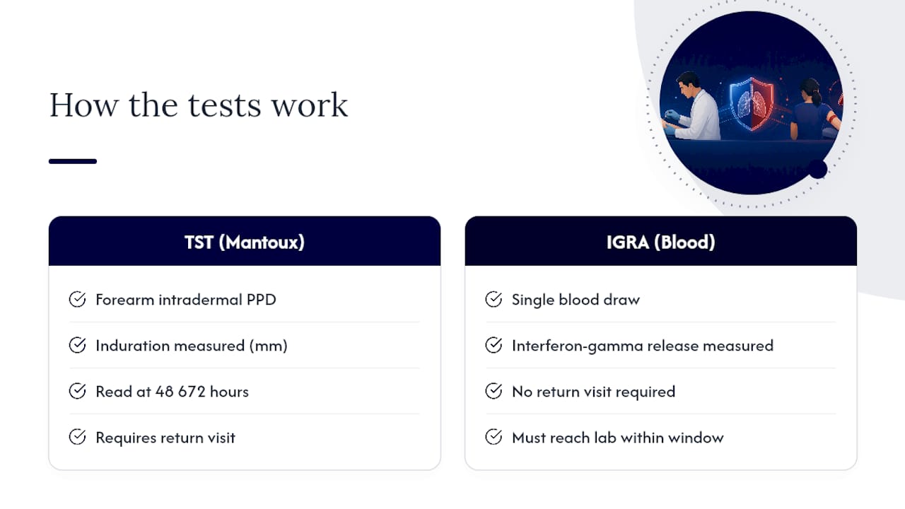 TST and IGRA testing pathway comparison