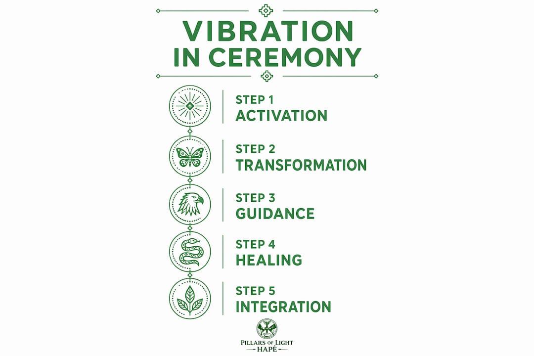 Infographic showing vibration's sequential roles in plant ceremony