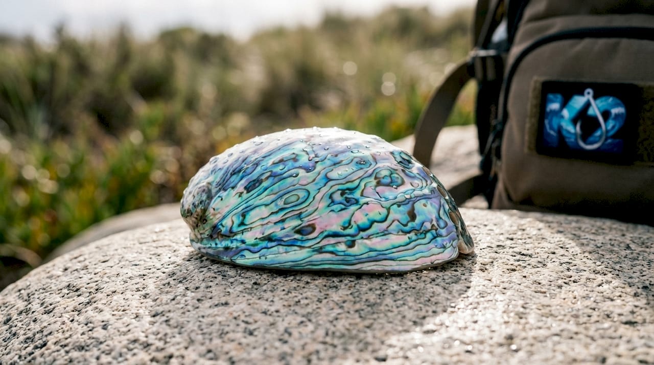 Close-up of iridescent abalone lure on wooden surface