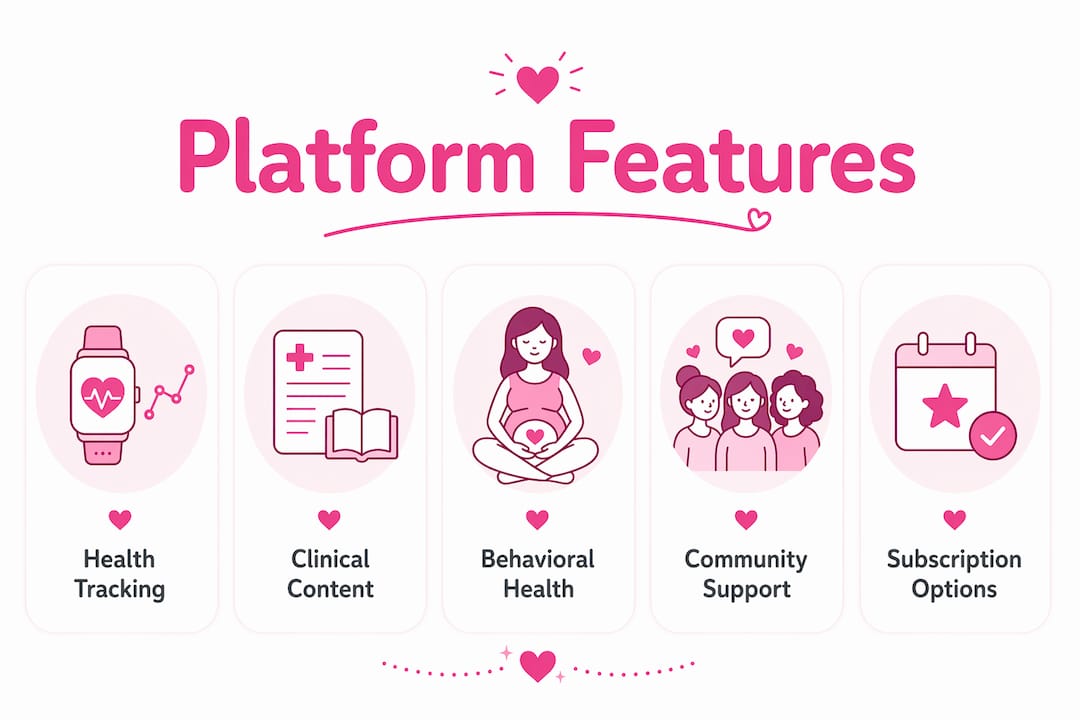 Infographic showing pregnancy wellness platform key features