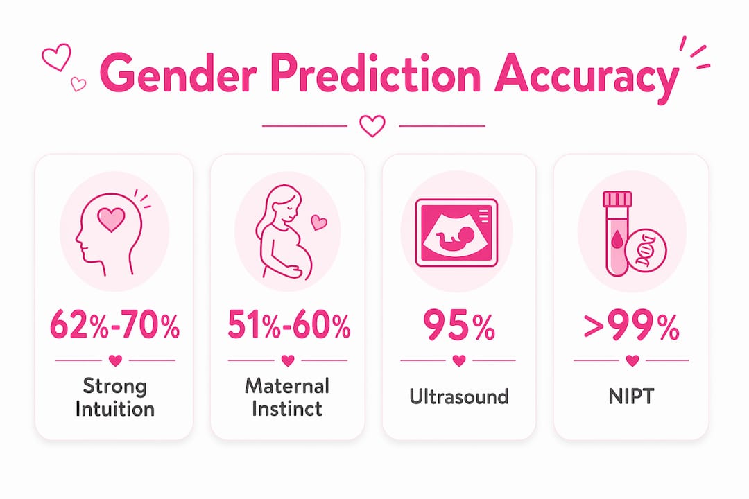 Infographic showing gender prediction accuracy statistics