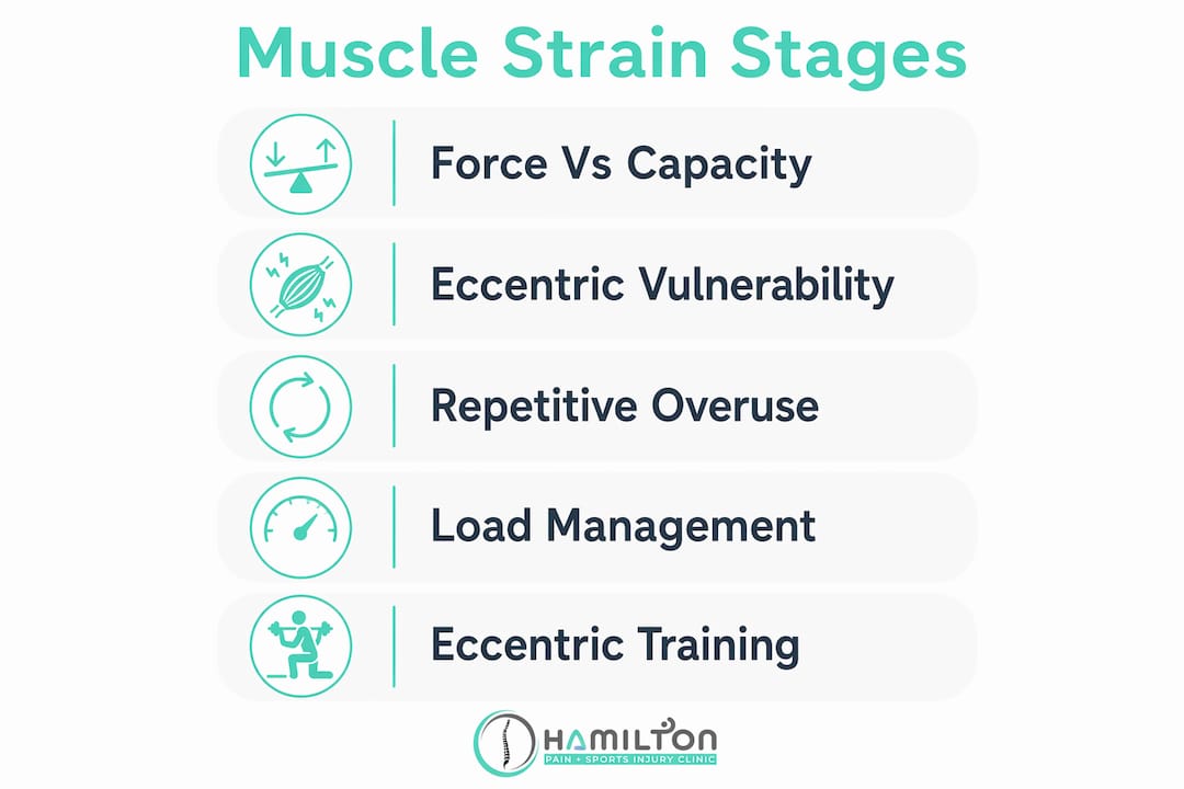 Infographic depicting muscle strain stages and prevention