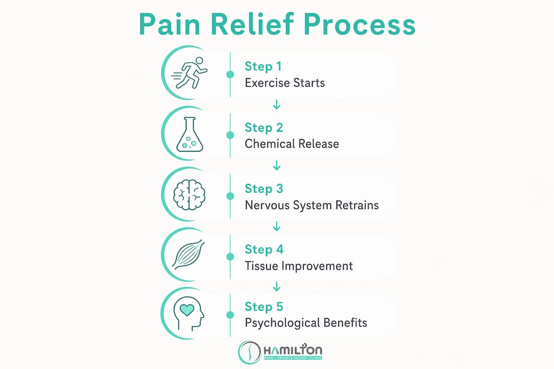 Infographic depicting stages of movement-induced pain relief