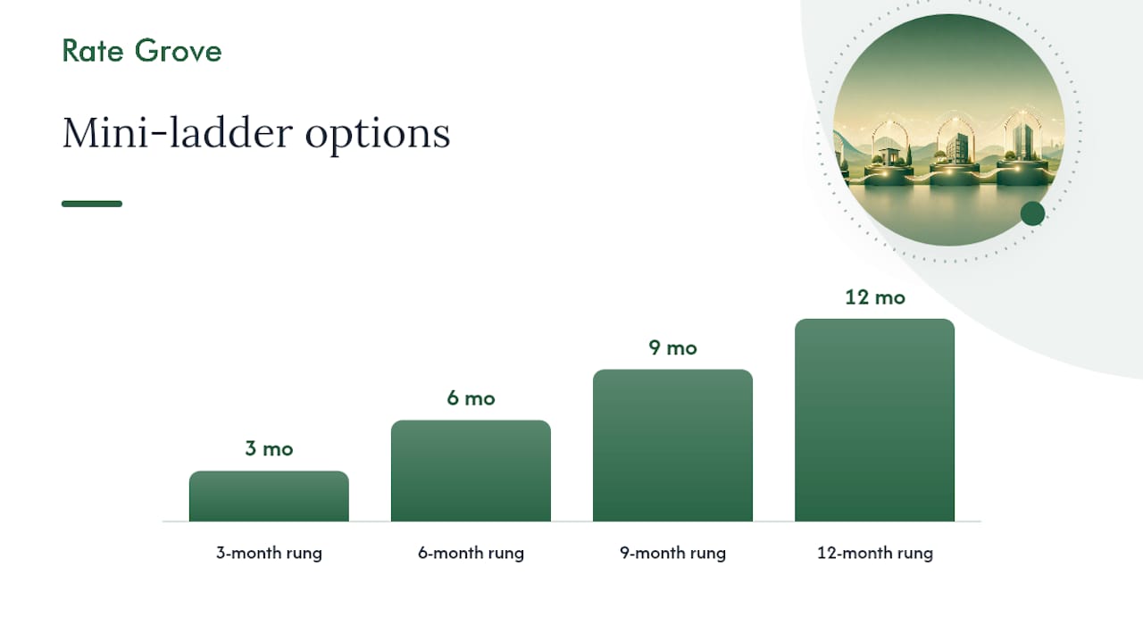 Pros and Cons of CD Ladders — overview diagram