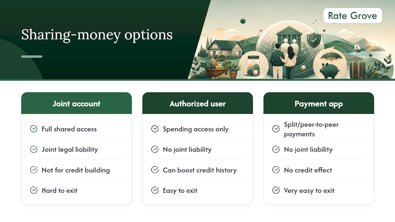 Comparison of joint account alternatives