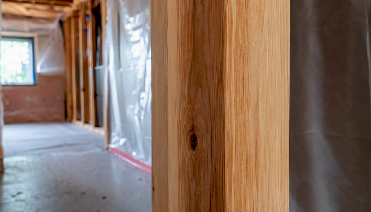 Clean wood surface after mold removal