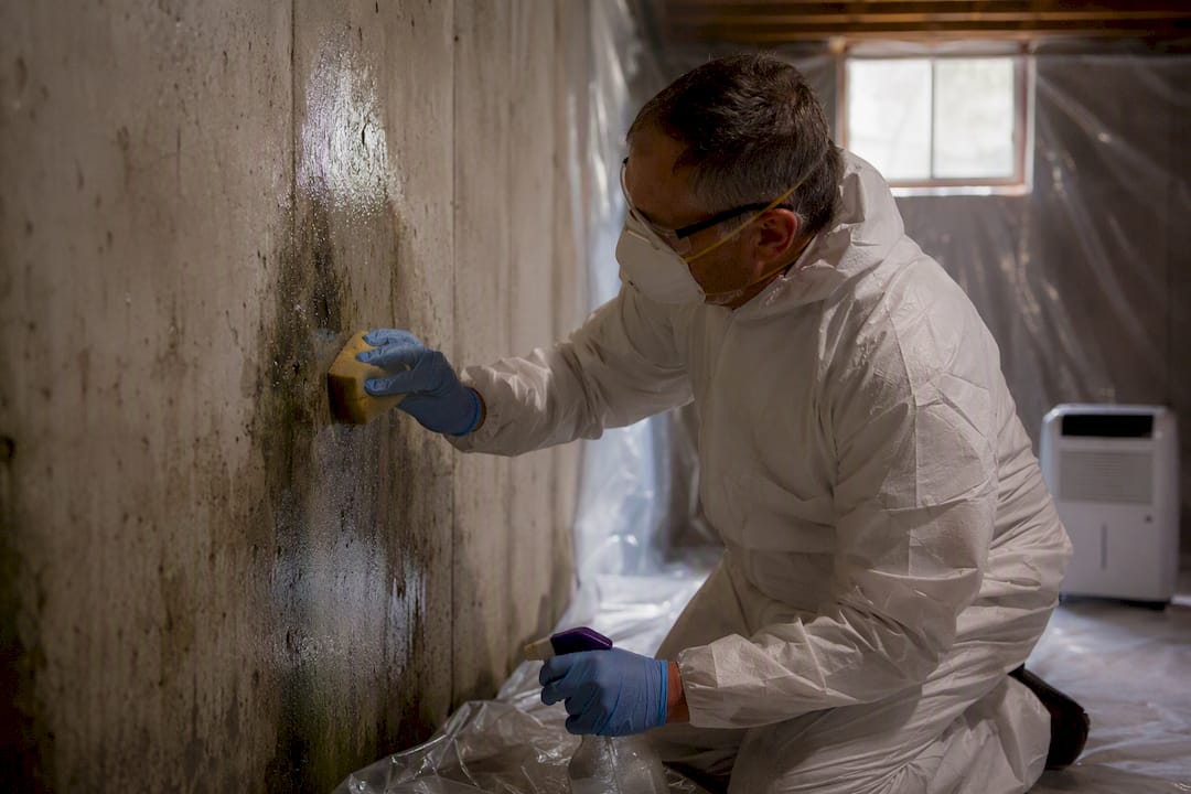 Person scrubbing mold off basement wall