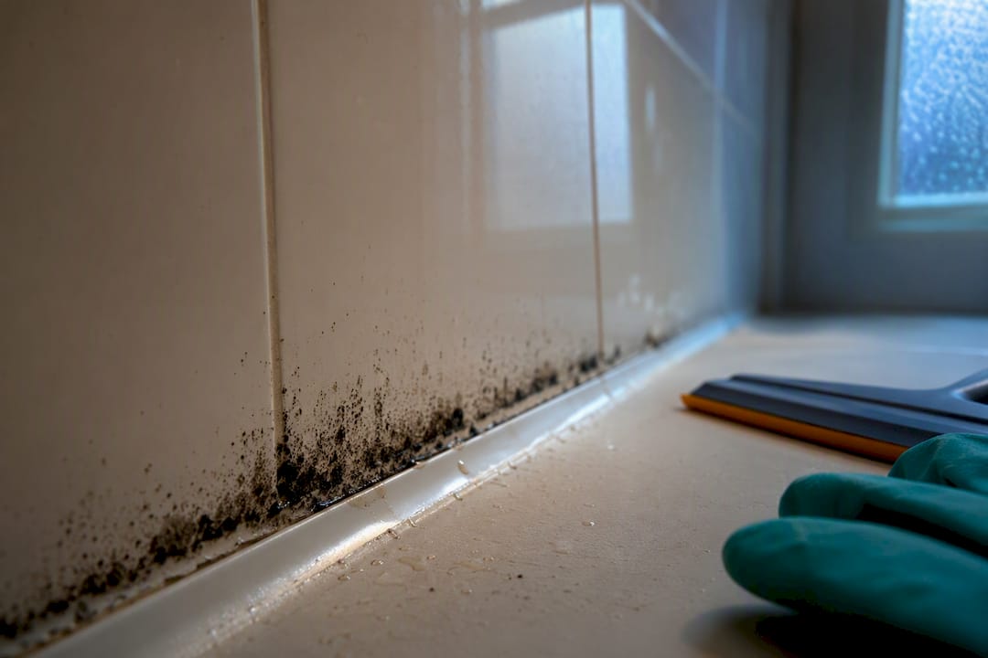 Black mould growing along shower grout