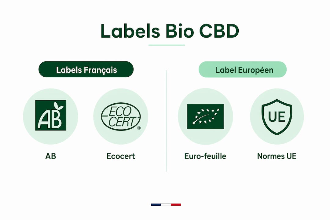 Certification bio CBD : signification et labels officiels 3 Infographie : tour d’horizon des labels bio CBD en France et en Europe