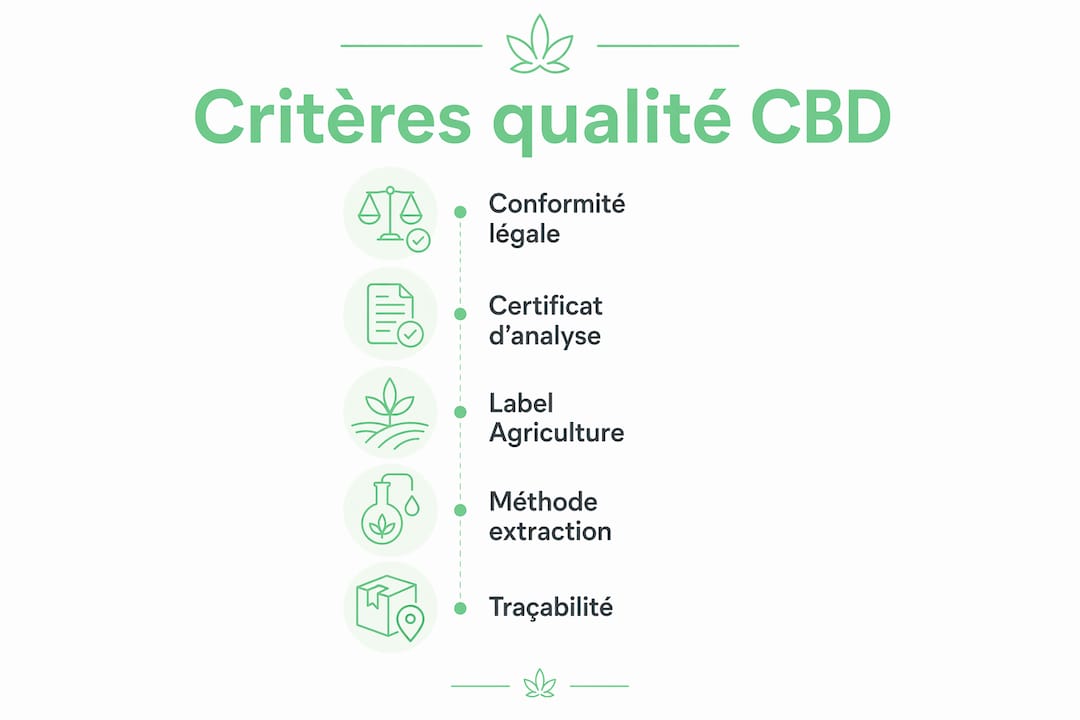 Infographie présentant les étapes essentielles pour garantir la qualité du CBD