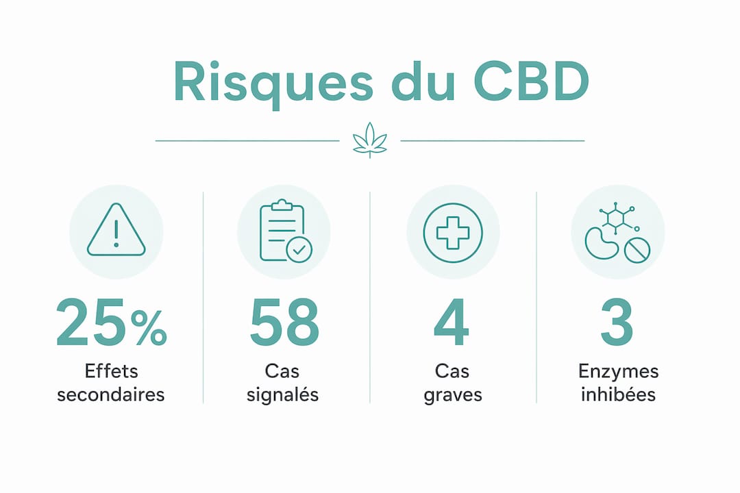 Découvrez en un coup d&amp;apos;œil les principaux risques liés au CBD ainsi que les chiffres-clés sur ses effets indésirables grâce à notre infographie complète.