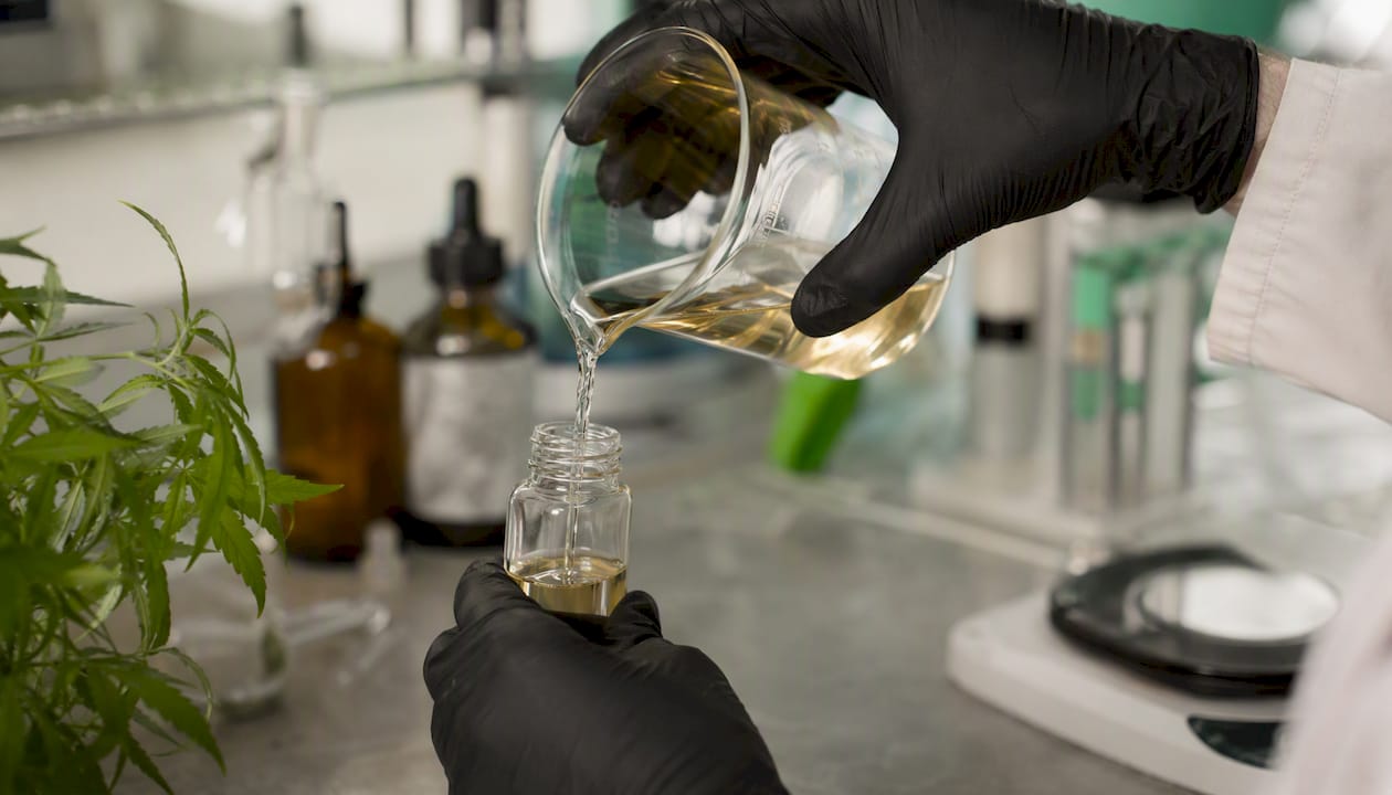 Molecules banned by the ANSM: official list and what to do 2 A researcher is preparing a hemp extract in a laboratory.