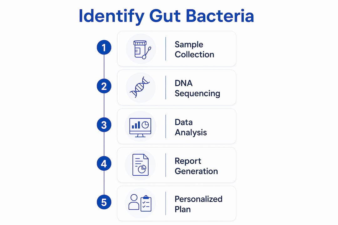 Infographic showing steps to identify beneficial gut bacteria