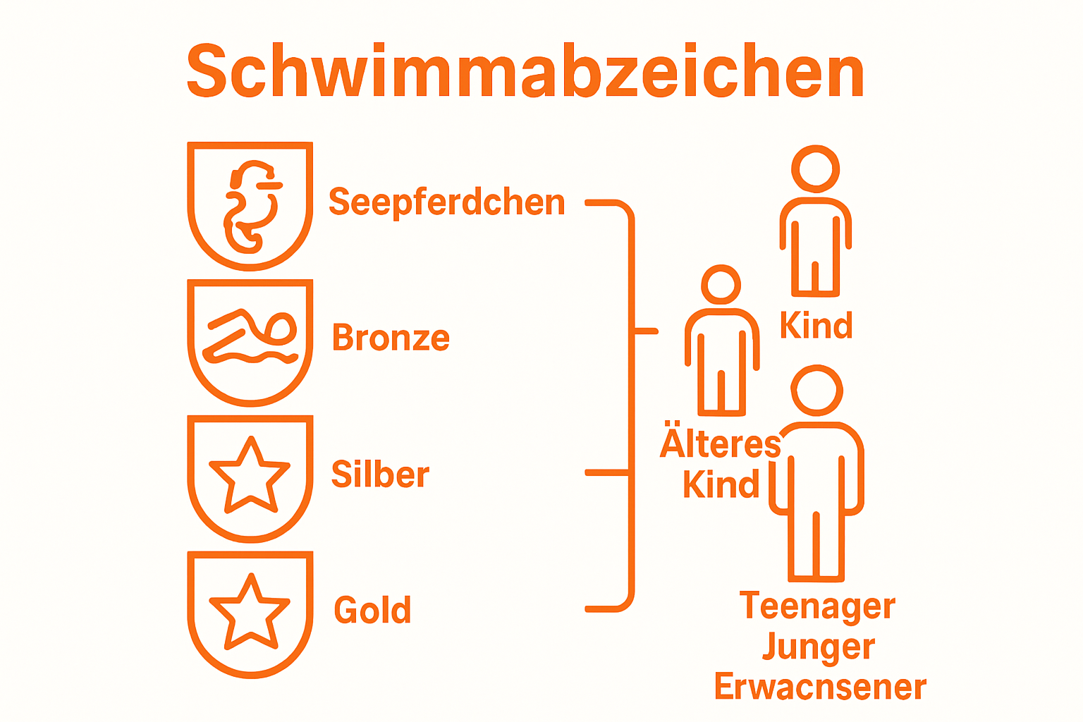Schwimmabzeichen badges and age groups compared visually