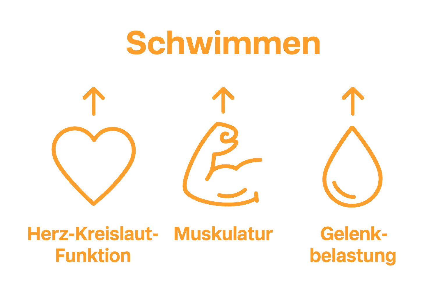 Infografik mit Herz, Muskel und Tropfen für Schwimmvorteile im Alter