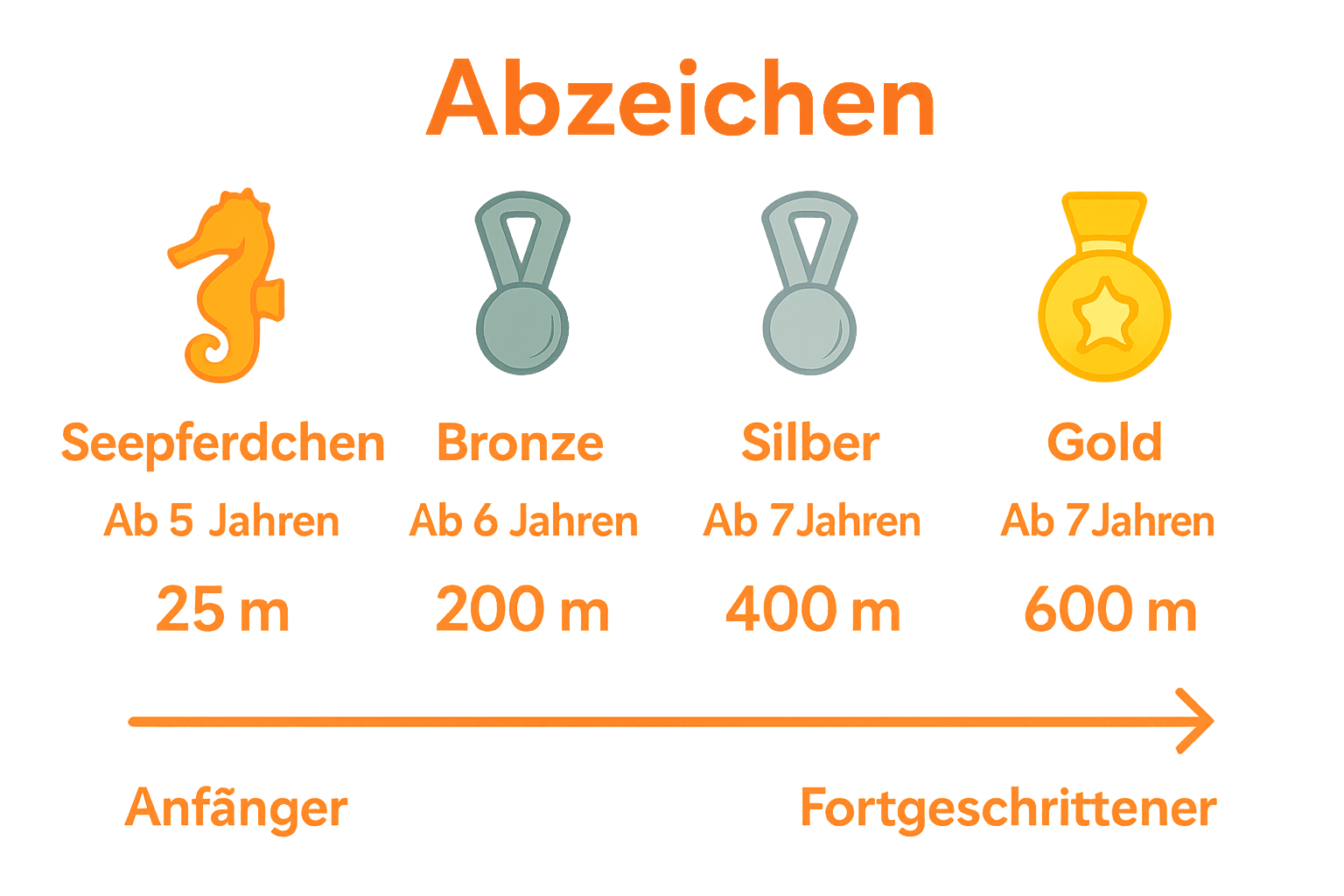 Vergleichsinfografik zu den Stufen der DOSB Schwimmabzeichen