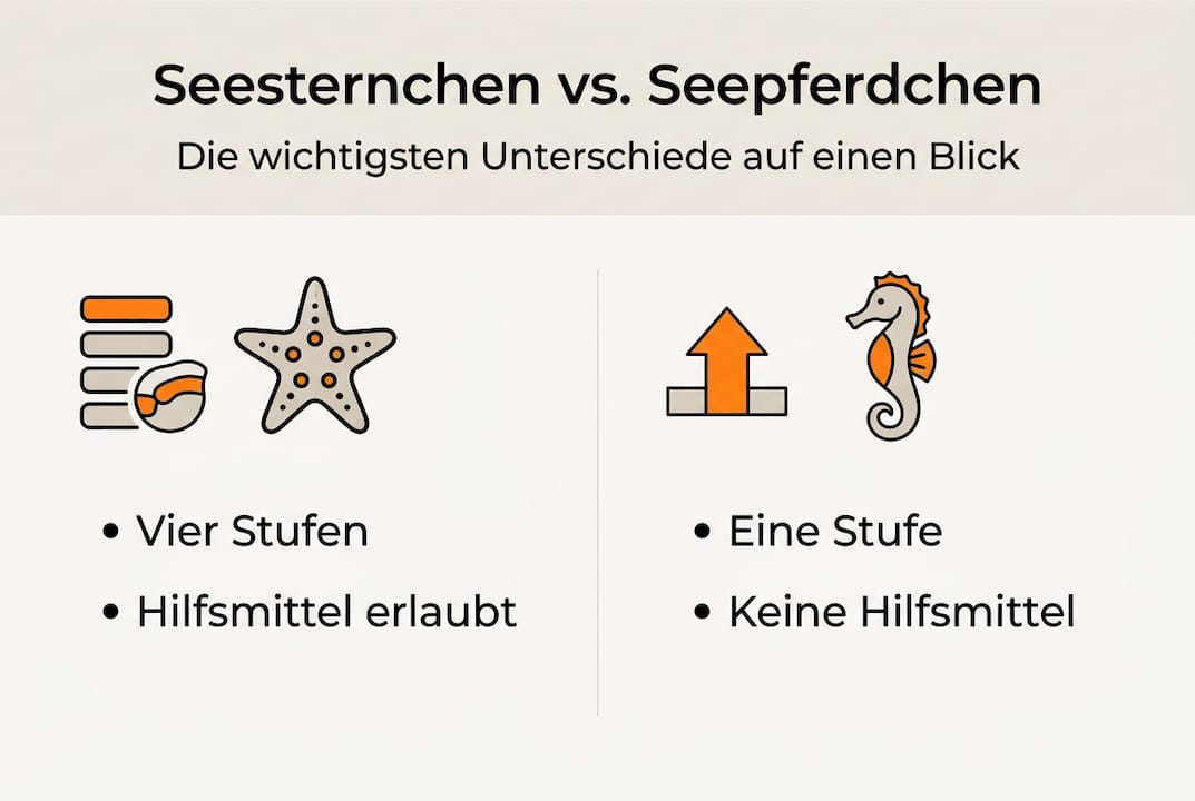 Die Infografik veranschaulicht die Unterschiede zwischen den einzelnen Schwimmabzeichen.