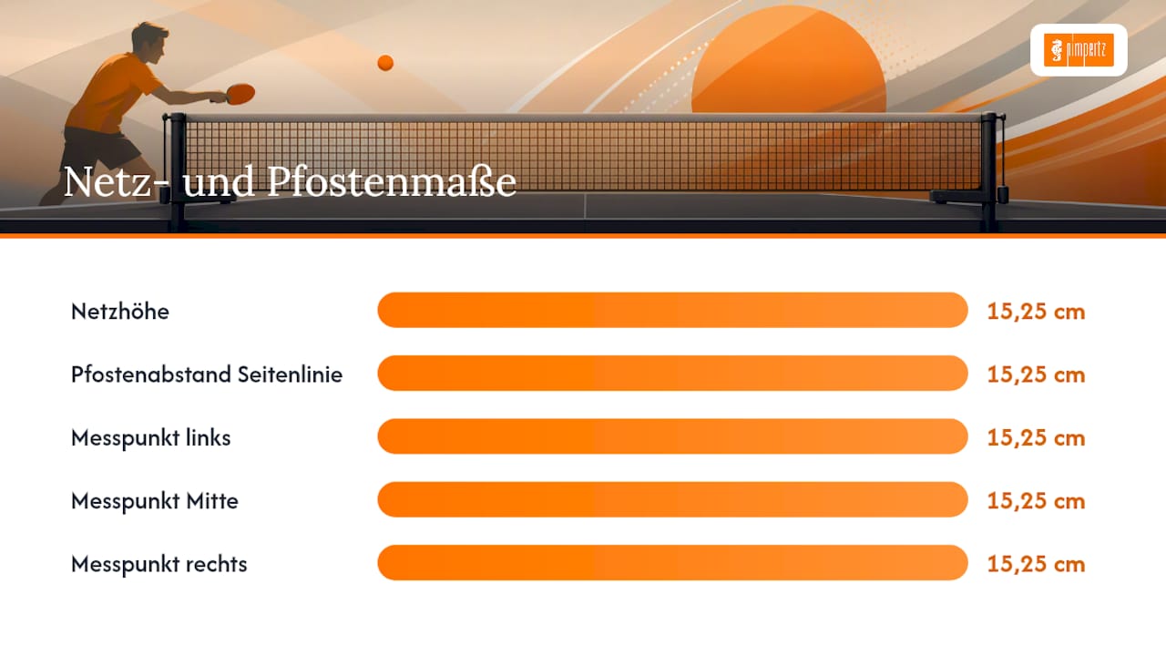 Abbildung der Maße und Messpunkte eines Tischtennisnetzes