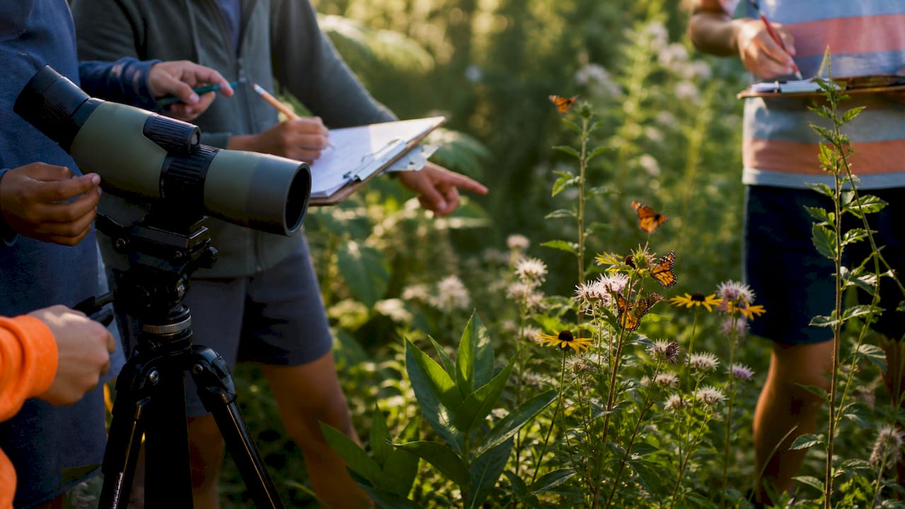 Kinder gehen draußen auf Entdeckungsreise und beobachten Insekten mit Lupen.