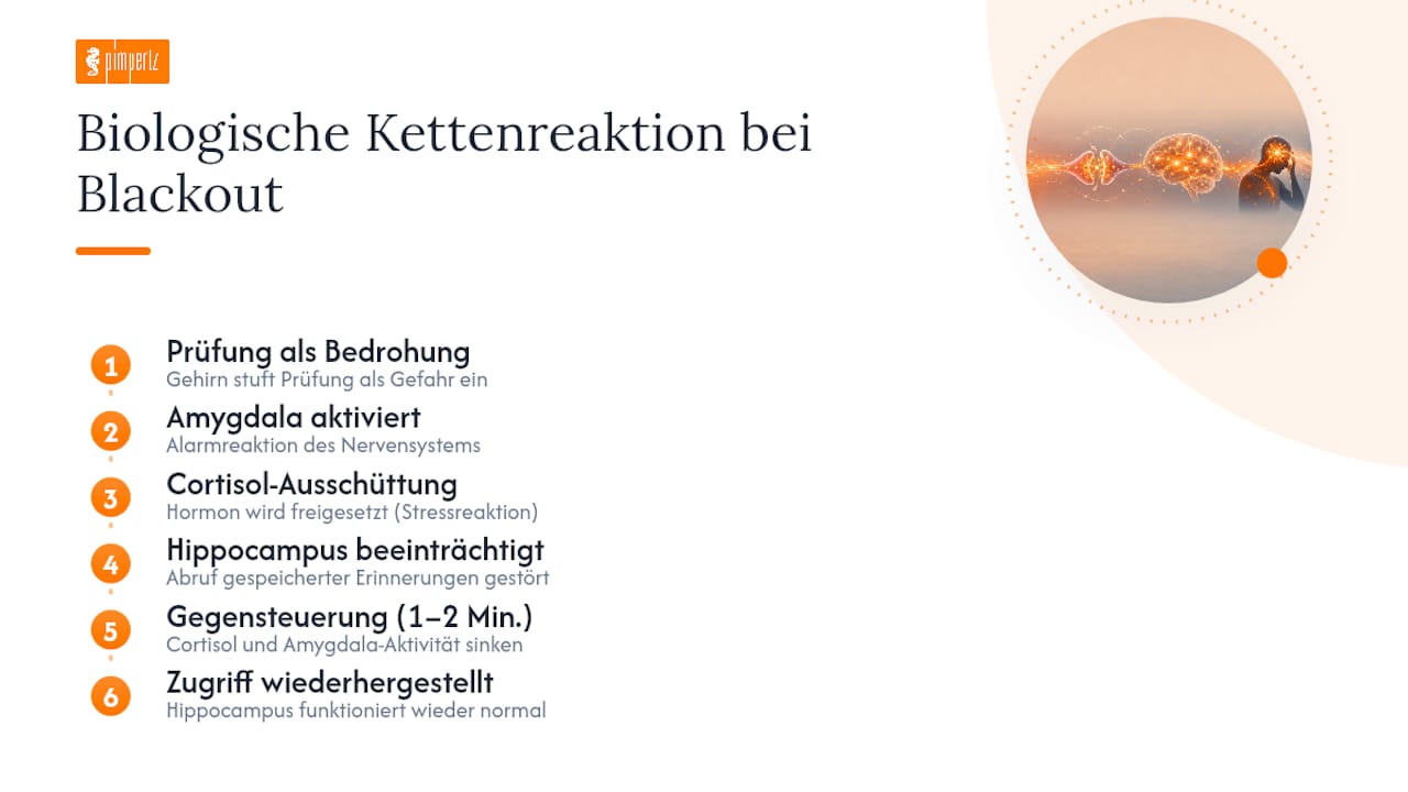 Ablauf der Stressreaktion bei einem Blackout während der Prüfung